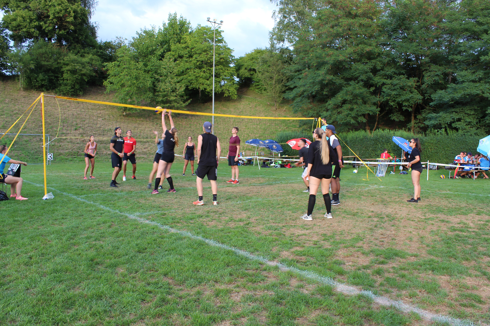 Volley  (134)